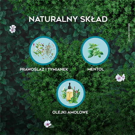 AMOLOWE NA GARDŁO x 16 pastylek do ssania 