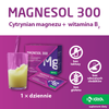 Magnesol 300 Saszetki - granulat do sporządzania roztworu doustnego, 20 sztuk