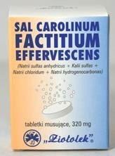 Sal Carolinum x 40 tabl.mus.