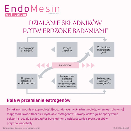 Endomesin Estrobiom - równowaga mikrobioty, 30 kapsułek Esto + 30 kapsułek Biom