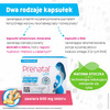 Prenatal Uno kapsułki 30 sztuk +  DHA 30 sztuk (30+30)